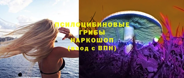 мдма Елизово