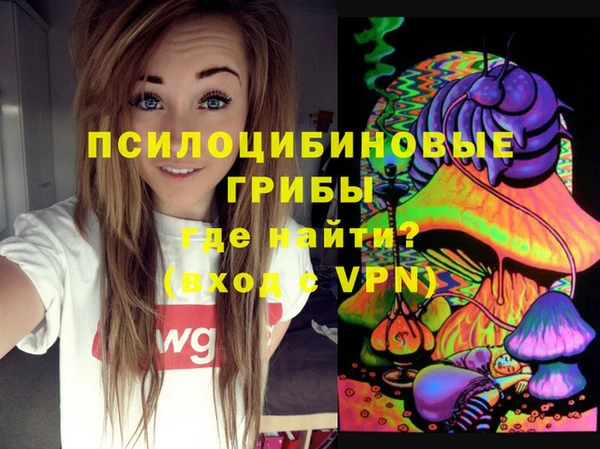 метадон Заводоуковск